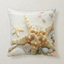 Search for starfish cushions Conch