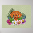 Search for vizslas posters Hungarian vizsla