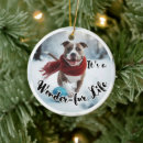 Search for pitbull christmas tree decorations Snow