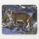 Search for predators mousepads Big cat