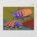 Search for roached postcards Bug
