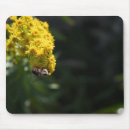 Search for flower and bee electronics Bumblebee