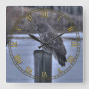 Search for great grey owl art Wildlife