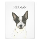 Search for heelers art Black and white