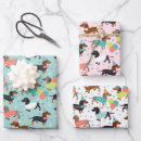 Search for sausage dog wrapping paper Birthday