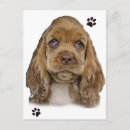 Search for cocker spaniel postcards Puppies