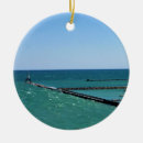 Search for lake michigan christmas tree decorations Water