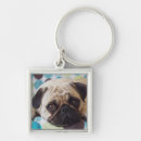 Search for curious key rings Animal