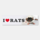 Search for rat bumper stickers Cute