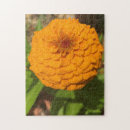 Search for dahlia puzzles Floral