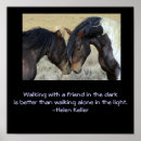 Search for wild horse posters Horses
