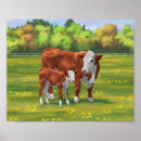 Search for cattle breeds posters Livestock