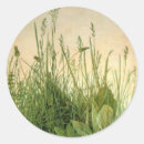 Search for wild grass stickers Grasses