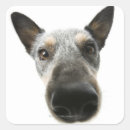 Search for dog head stickers Indoors