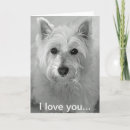 Search for westie cards Pets