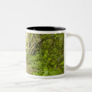 Search for forest path mugs Outdoors