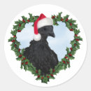 Search for black chicken stickers Farm animal