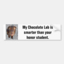 Search for labrador bumper stickers Puppy