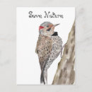 Search for throw pillows postcards Hand drawn