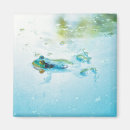 Search for blue pond magnets Water