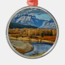 Search for panoramic christmas tree decorations National park