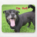 Search for heated mousepads Funny
