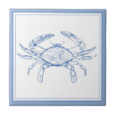 Search for preppy tiles Blue and white