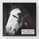Search for beautiful white horse art Equine