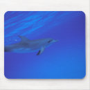 Search for fin mousepads Dolphin