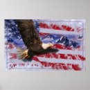 Search for flags waving posters White