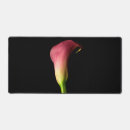 Search for pink calla electronics Floral