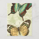 Search for bug collage postcards Blue