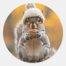Search for nut with squirrel stickers Cute
