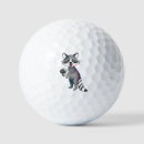 Search for raccoon golf equipment Adorable