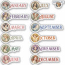 Search for monthly stickers Bujo