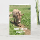 Search for life without cards Photography