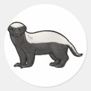Search for honey badger stickers Wildlife