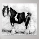 Search for gypsy horse posters Draught