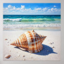 Search for pristine art Ocean