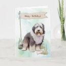 Search for sheepdogs cards Old english sheepdog