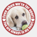 Search for apartment stickers Modern