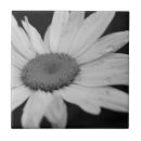 Search for black daisy tiles Flower