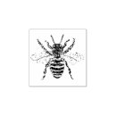 Search for insects rubber stamps Pretty