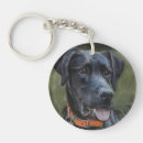 Search for black labrador key rings Puppy