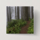 Search for moss badges National park