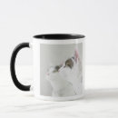 Search for reflective coffee mugs Animal