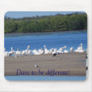 Search for birding quotes mousepads Nature