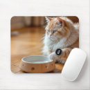 Search for funny ginger gifts Feline