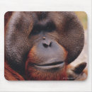 Search for wildlife mousepads Portrait