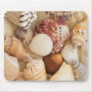 Search for pictures of shells mousepads Sea